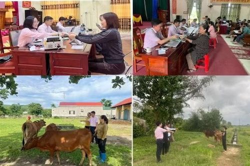 Tự hào người cán bộ 'sen hồng'