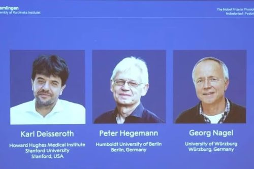Ba nhà nghiên cứu giành Nobel y học nhờ giải mã hoạt động não bộ
