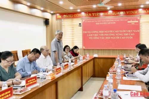 Đoàn công tác Trung ương Hội Người cao tuổi Việt Nam làm việc tại phường Nùng Trí Cao