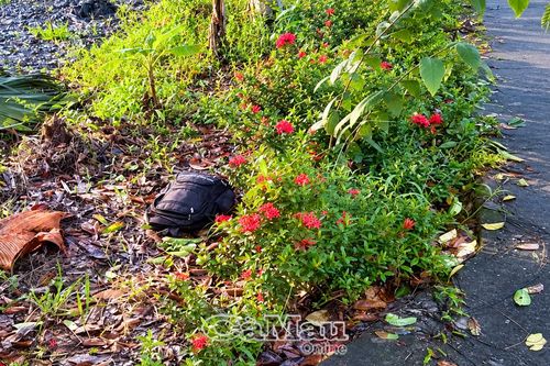 Báo tin giả đến cơ quan công an là hành vi vi phạm pháp luật