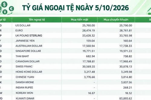 Tỷ giá ngoại tệ ngày 5/10: USD trên 26.000 đồng, CNY tiến gần 4.000 đồng