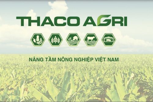 THACO AGRI bị phạt 92,5 triệu đồng vì chậm công bố thông tin