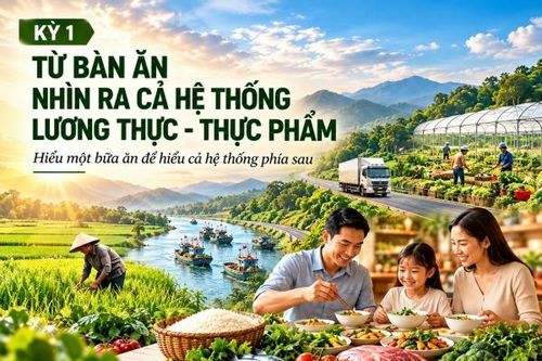 Xây dựng hệ thống lương thực, thực phẩm bền vững - Kỳ 1: Từ bàn ăn nhìn ra cả hệ thống