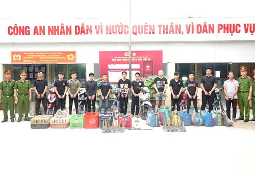 Bắt 12 người trong đường dây trộm, tiêu thụ 2.700 con mèo