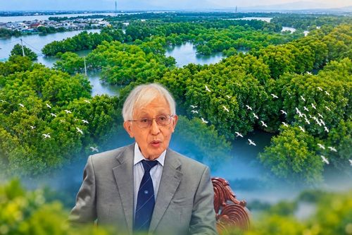 Có gì hấp dẫn tại sự kiện 'Đối thoại Quy Nhơn về khí hậu và chuyển đổi'?