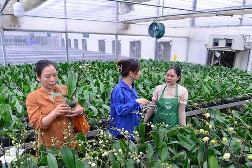 Tin tức đặc biệt trên ấn phẩm Hànộimới ngày 5-10-2026