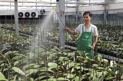 Khơi thông nguồn lực cho tăng trưởng nông nghiệp