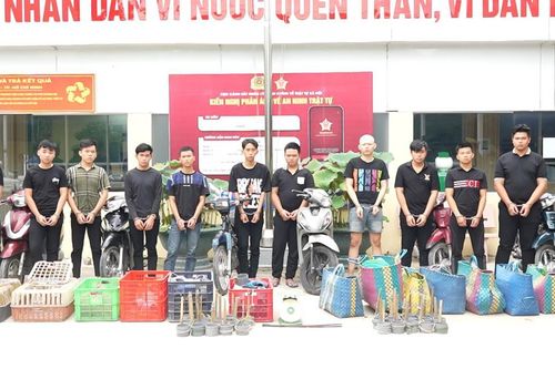Trộm 2.700 con mèo ở TPHCM, nhóm đối tượng bị bắt, khởi tố