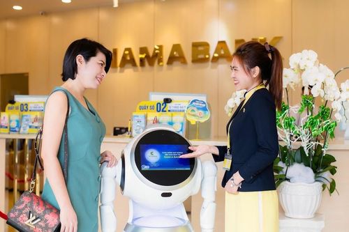 Hội sở Nam A Bank và chi nhánh Đắk Lắk bị yêu cầu chấn chỉnh cho vay