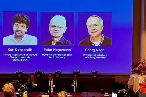 Nobel Y sinh 2026 vinh danh công nghệ dùng ánh sáng giải mã bí ẩn não bộ