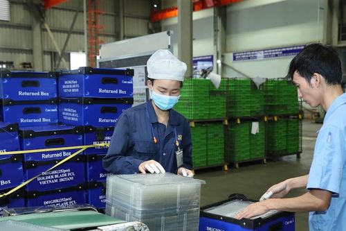 Tăng trợ lực cho doanh nghiệp