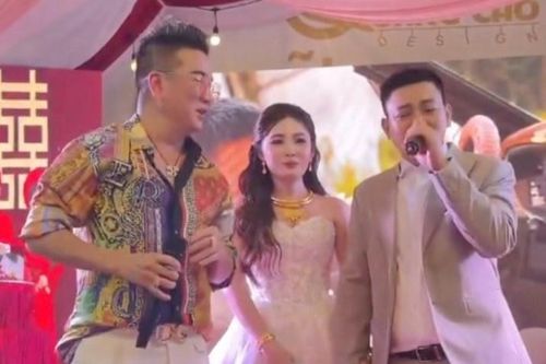 Đàm Vĩnh Hưng hát trong lễ cưới Hoài Lâm
