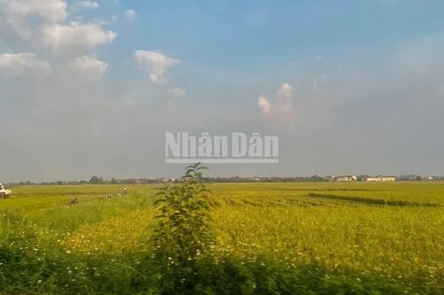 Chính sách đặc thù về đất đai không có nghĩa đặc cách