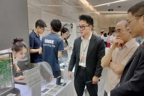Bảo vệ tài sản trí tuệ trong thiết kế chip bán dẫn