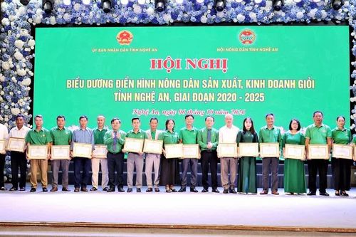 Nghệ An biểu dương 130 điển hình nông dân sản xuất, kinh doanh giỏi