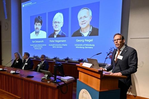 Nobel Y sinh 2026 vinh danh 3 nhà khoa học về công nghệ quang di truyền