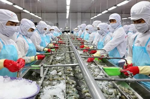 Tạo đường băng cho doanh nghiệp nhỏ và vừa 'cất cánh': Tăng lượng phải tăng chất
