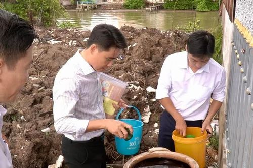 Số ca mắc sốt xuất huyết tăng cao ở đồng bằng sông Cửu Long