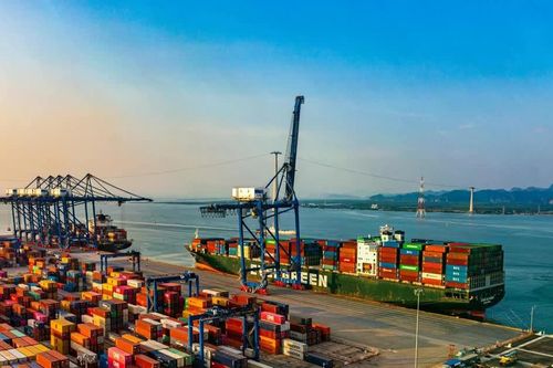 Khu thương mại tự do phải có quy mô tối thiểu 1.000 ha, kết nối vận tải đa phương thức