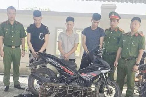 Nhóm đối tượng dùng súng tự chế nối dây điện trộm chó trong đêm