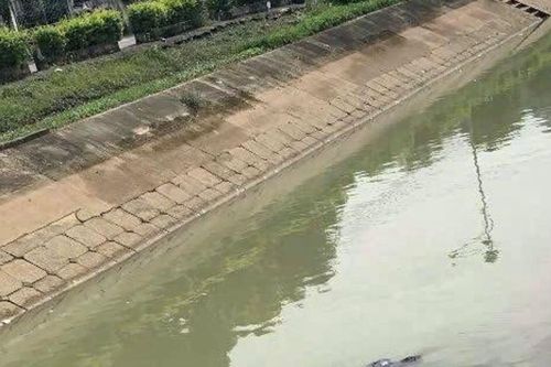 Phát hiện thi thể trên Kênh Cửa Đạt