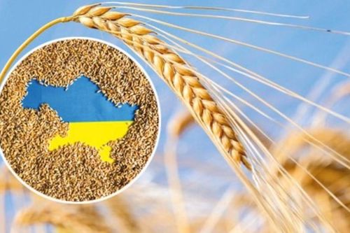Các nước láng giềng thuộc EU từ chối giúp Ukraine xuất khẩu ngũ cốc