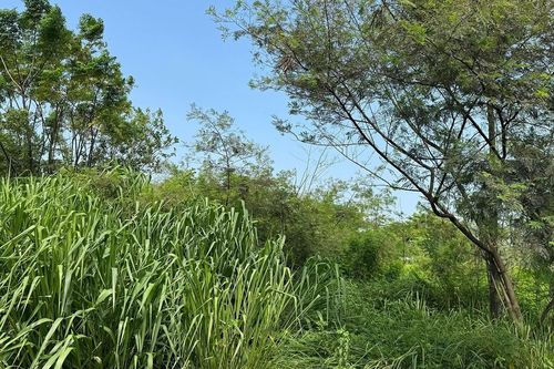 Bộ Tài chính đề xuất đánh thuế 0,2% đất bỏ hoang, không áp dụng hạn mức