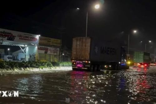 Thành phố Hồ Chí Minh: Nước dâng nhanh, gây ngập sâu ở Tân Hiệp trong đêm