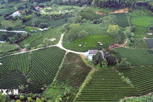 Thái Nguyên có hơn 3,5 triệu thửa đất đạt chuẩn 'đúng-đủ-sạch-sống'