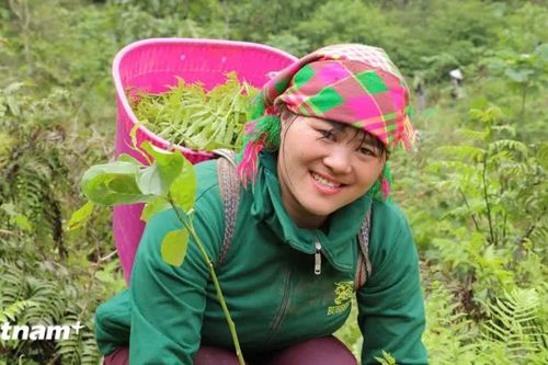 Nâng năng suất lao động quốc gia: Hình thành 'nông dân chuyên nghiệp, nông dân số'