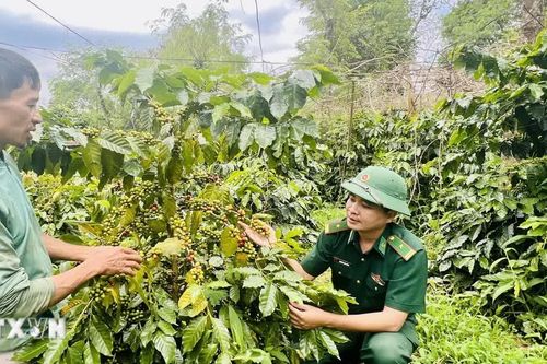 Quảng Trị huy động gần 135 tỷ đồng thúc đẩy công nghiệp nông thôn