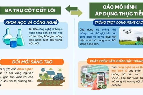Nghị quyết 57-NQ/TW đột phá chuyển đổi: Công nghệ tái cấu trúc nông nghiệp