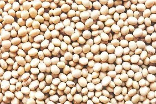 Ấn Độ điều tra nghi vấn nhập khẩu đậu tương từ Niger gian lận xuất xứ