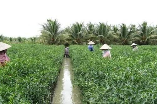 Kiến tạo chuỗi giá trị nâng tầm nông sản