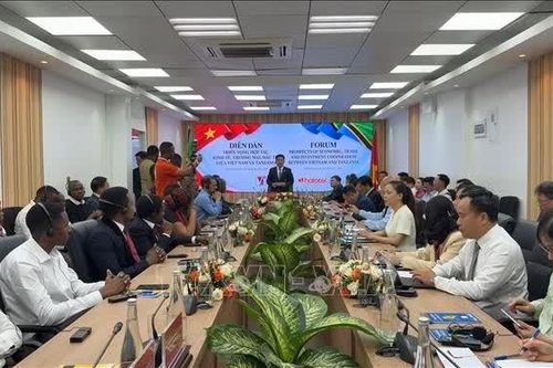 Doanh nghiệp Tanzania mong muốn đẩy mạnh hợp tác với Việt Nam
