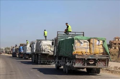 Ai Cập đưa hơn 2.600 tấn hàng cứu trợ vào Gaza