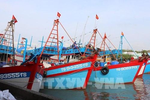 Đồng Tháp siết kiểm soát IUU trước đợt thanh tra EC