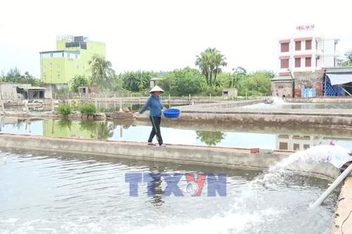 Nguồn vốn mở đường cho những sinh kế mới