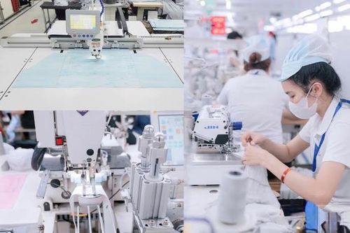 Khả năng tạo việc làm của nền kinh tế tiếp tục được cải thiện