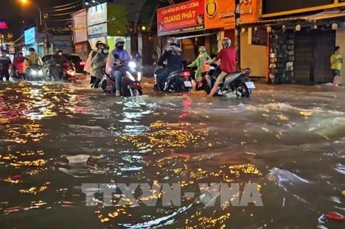 Rà soát cầu yếu khi mực nước sông, suối đang dâng cao
