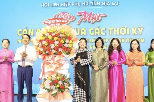 Hội LHPN tỉnh Gia Lai: Bàn giải pháp, phấn đấu phát triển 33.000 hội viên mới