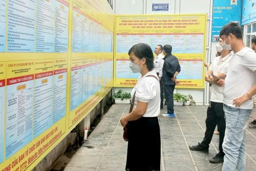 Khoảng trống sau con số 1,6 triệu thanh niên không việc làm, không học tập và đào tạo