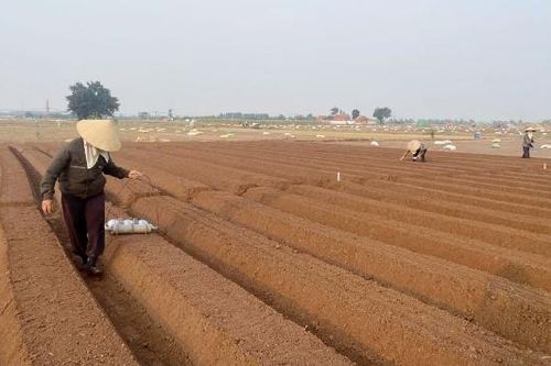 Chủ động ứng phó thiếu nước do hiện tượng El Nino