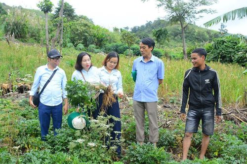 Sinh kế bền vững nơi vùng cao