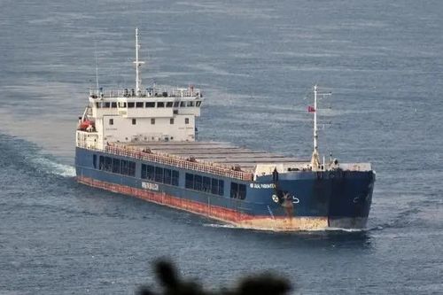 Liên tiếp xảy ra sự cố tàu hàng trên Biển Đen, gia tăng lo ngại về nguồn cung ngũ cốc