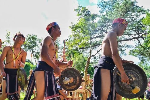 Gia Lai điều chỉnh quy mô Festival cồng chiêng năm 2026