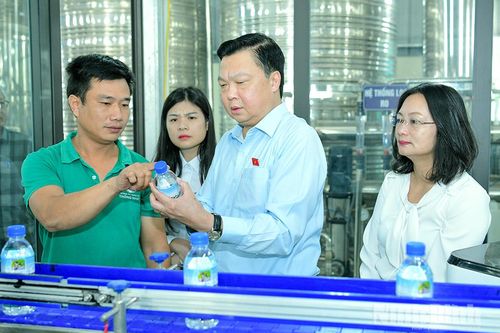 Đoàn ĐBQH tỉnh khảo sát việc thực hiện chính sách, pháp luật về an toàn thực phẩm tại Công ty TNHH Xây dựng Thống Nhất