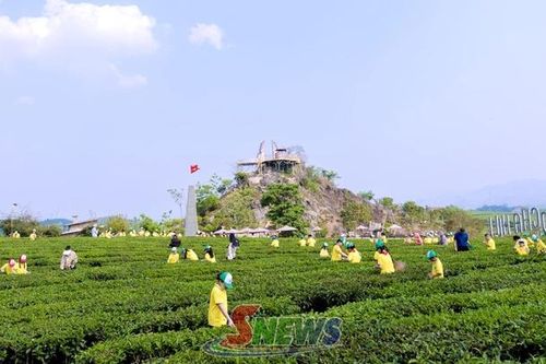 Sản xuất nông nghiệp gắn với du lịch trải nghiệm