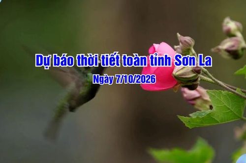 Dự báo thời tiết toàn tỉnh Sơn La ngày 07/10/2026