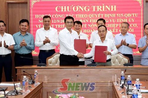 Đẩy mạnh phát triển kinh tế nông nghiệp hữu cơ tuần hoàn, liên kết chuỗi giá trị